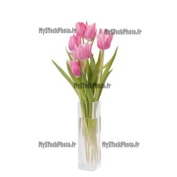 bunch of Tulips in a vase